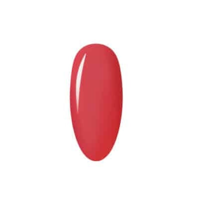 204 - Swallow 5ml
