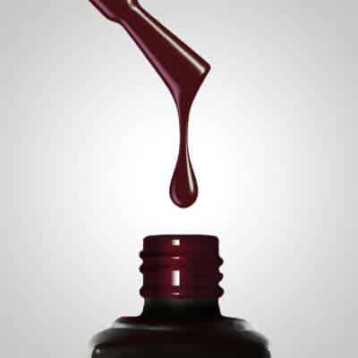 497 Black Cherry
